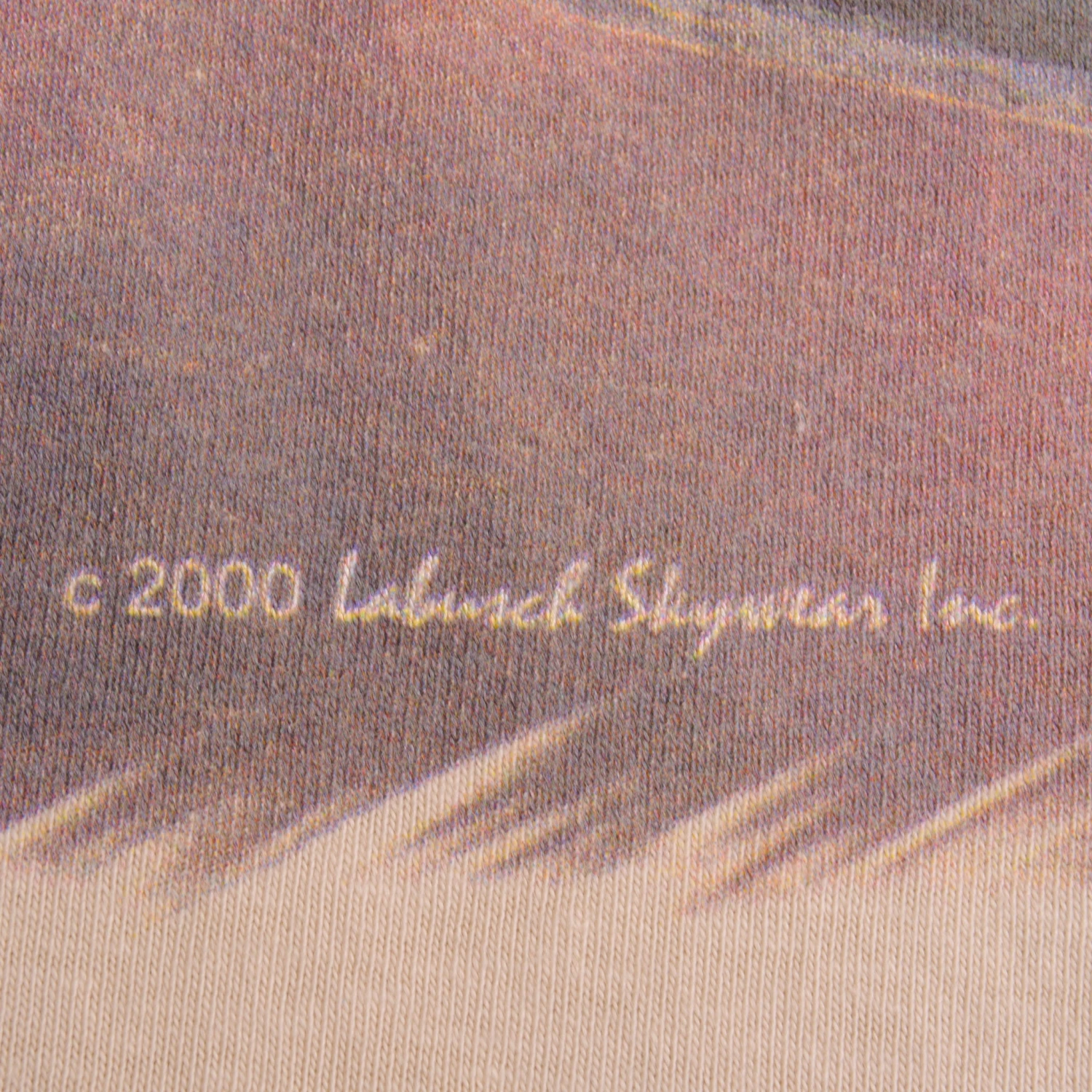 VINTAGE P-40 P40 WARHAWK 2000 TEE SHIRT SIZE XL(Copy Of My Daughter Is A Paratrooper 80s T Shirt Size Medium) 6 VINTAGE P-40 P40 WARHAWK 2000 TEE SHIRT SIZE XL(Copy Of My Daughter Is A Paratrooper 80s T Shirt Size Medium) - Image 6