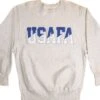 VINTAGE CHAMPION REVERSE WEAVE USAFA SWEATSHIRT 1990s SIZE XL(Vintage Champion Reverse Weave Usafa Sweatshirt 1990s Size Xl)